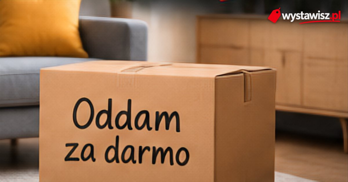 Oddam za darmo – jak szybko oddać meble i rzeczy zamiast płacić za wywóz – zdjęcie do poradnika