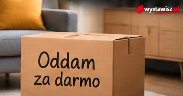 Oddam za darmo – jak szybko oddać meble i rzeczy zamiast płacić za wywóz – zdjęcie do poradnika